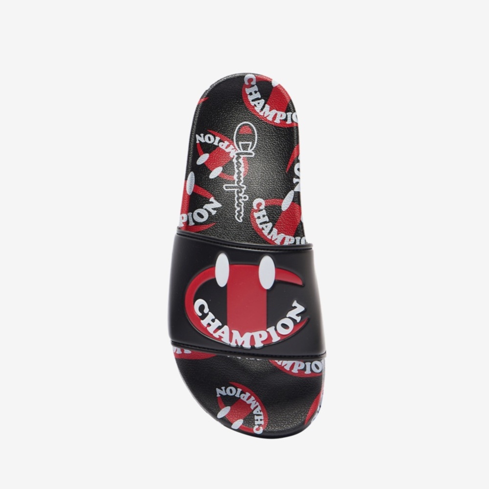 NIB Champion Slides